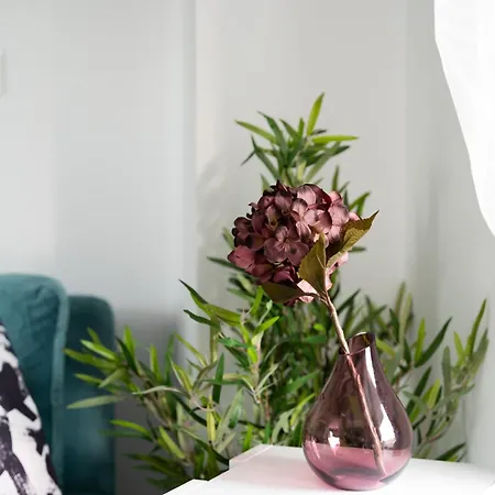 Daire Velvet Luxury Near The Center By Binobi! Selanik